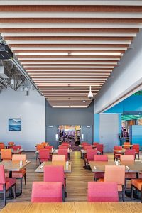 Shoreline Peterborough